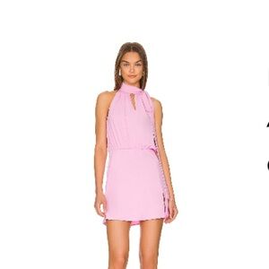 NWOT Amanda Uprichard Mallory Dress in Carnation